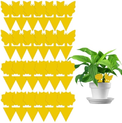 24 stuk - Sticky Fly Traps - Fruitvliegvallen - Planten Vliegenstickers - Sticky Insect Traps voor binnen en buiten - Geel