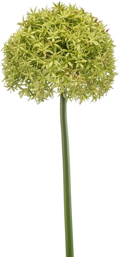 Emerald - Kunstbloem Allium XL groen 90cm - Kunstplant voor binnen