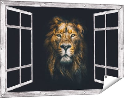 Gards Tuinposter Doorkijk Leeuw - Leeuwenkop - Kleur - 120x80 cm - Tuindoek - Tuindecoratie - Wanddecoratie buiten - Tuinschilderij
