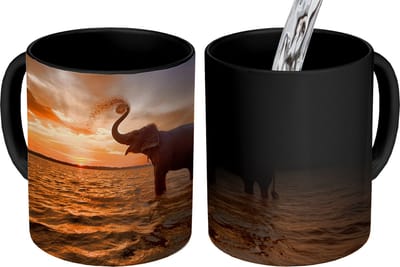 Magische Mok - Foto op Warmte Mokken - Koffiemok - Olifant - Zee - Dieren - Zonsondergang - Oranje - Magic Mok - Beker - 350 ML - Theemok