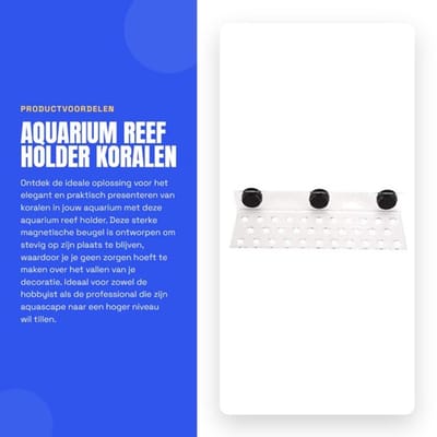 Aquariumhouder met sterke magnetische bevestiging - Acryl Koraalhouder - Duurzaam Accessoire - 3 Soorten - Betrouwbaar in gebruik - Geschikt voor gezonder koraal