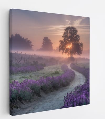 Saammp Canvas Schilderij - Lavendelveld met mist - Natuur - Landschap - 20x20 - Foto op canvas - Wanddecoratie - Muurdecoratie Woonkamer - Slaapkamer decoratie - Canvas Print