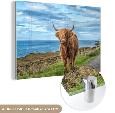 MuchoWow® Glasschilderij 150x100 cm - Schilderij acrylglas - Schotse Hooglander - Water - Horens - Foto op glas - Schilderijen