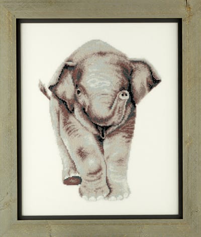 Pako borduurpakket - telpatroon met codekaart -- jong Olifantje - 237.103 - voorgesorteerd garen- aida - 25 x 32 cm - DIY kit