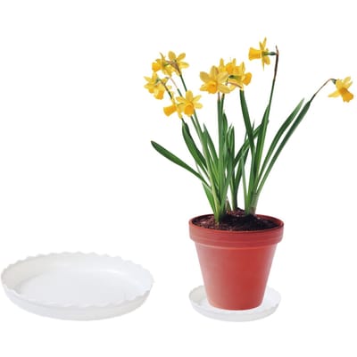Bloempot Waterhouder Ronde Plastic Schaal met Verplaatsbare Basis gray