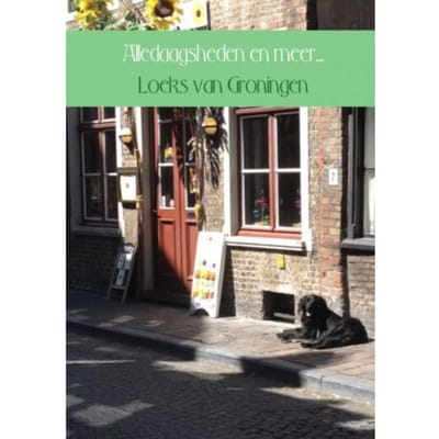 Alledaagsheden En Meer... - Loeks van Groningen