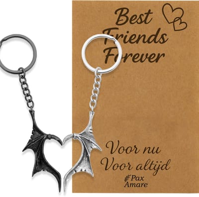 BFF Sleutelhanger voor 2 'Best Friends Forever' - Vleugels Hart - Sleutelhangers op Cadeau Kaartje - Zilverkleurig & Zwart - Vriendschap Symbool - Pax Amare