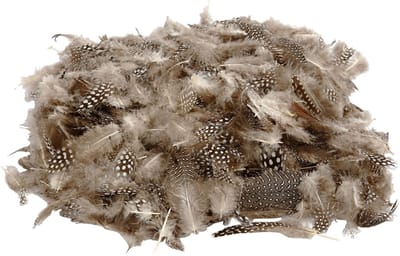 Veren van parelhoen, ca. 1000 stuk, naturel, 50 gr/ 1 doos