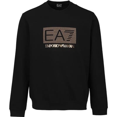 Emporio Armani EA7 FW23 Sweat à capuche avec imprimé lettres et chiffres Homme sweatshirt Noir 3RUM09-PJARZ-1200 L gray