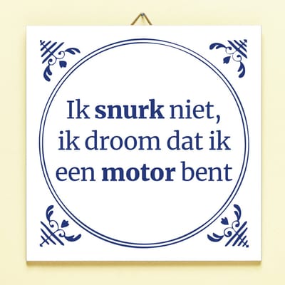 Tegeltje Ik Snurk Niet van Ditverzinjeniet.nl