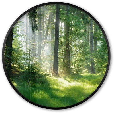 Poster in lijst Rond - Fotolijst 60x60 cm - Posters - Natuur - Bomen - Bos - Groen - Zon - Gras - Planten - Ronde posterlijst zwart - Decoratie - Wanddecoratie woonkamer - Muurdecoratie slaapkamer