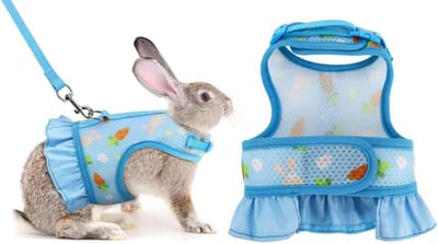 Daity Geschirr für Kaninchen、auslaufsicher、verstellbar und atmungsaktiv、geeignet für kleine Tiere、Kätzchen、Meerschweinchen、Chinchilla Zugschnur für Weste（Blau、M）