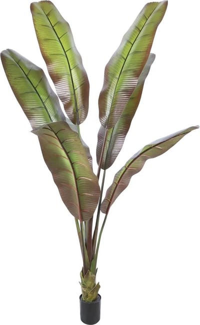 HomeBound by KY | Kunstplant Japanse bananenboom 190cm | kunstplant | 190x190x190cm