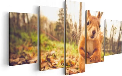 Artaza Canvas Schilderij Vijfluik Eekhoorn in het Bos tijdens de Herfst - 100x50 cm - Wanddecoratie Woonkamer - Schilderijen - Muurdecoratie
