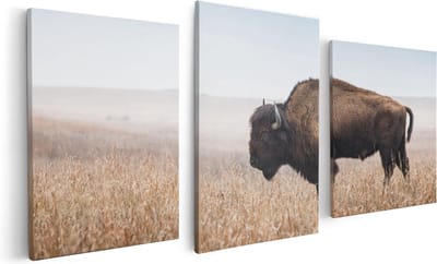 Artaza Canvas Schilderij Drieluik Bizon in het Gras - 120x60 - Foto Op Canvas - Canvas Print