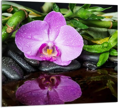 TMK ArtDeko Orchidea - Keuken Glaspanel - 65x60 cm - Veelzijdig - Modern