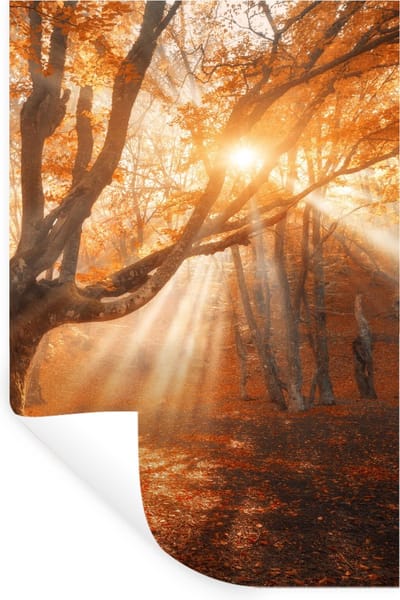 Muurstickers - Sticker Folie - Boom - Natuur - Herfst - 20x30 cm - Plakfolie - Muurstickers Kinderkamer - Zelfklevend Behang - Zelfklevend behangpapier - Stickerfolie