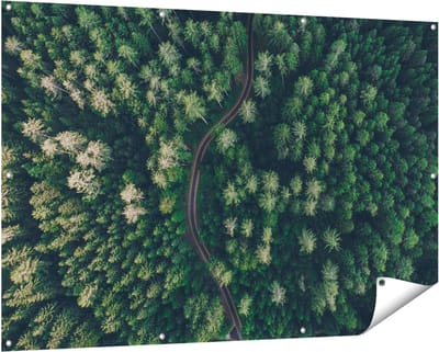 Gards Tuinposter Weg Door Bos met Bomen - Bovenaanzicht - 150x100 cm - Tuindoek - Tuindecoratie - Wanddecoratie buiten - Tuinschilderij