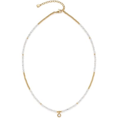 Leonardo Ketting 026209