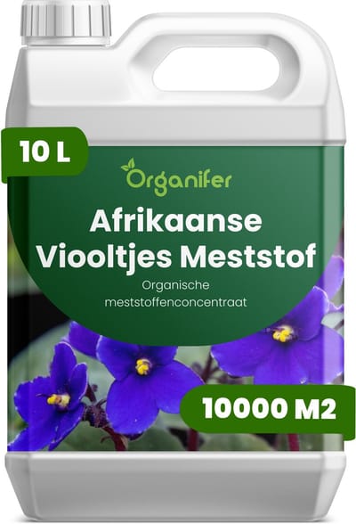 Vloeibare Meststof Voor Afrikaanse Viooltjes - 10 L Voor 10000 M2 - Npk 3-4-3 Voor Heldere Bloemen - Sterke Wortels - Compacte Plantstructuur - Diepe Bladkleur - Betrouwbare Bloei - Knopvorming - Kamerplanten - Organifer