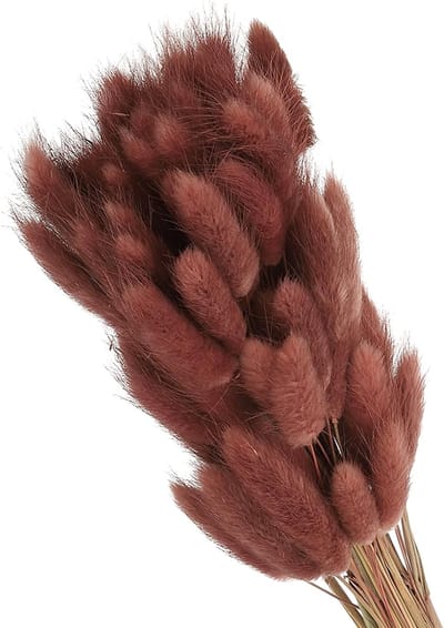 Gedroogde Bloemen - Pampasgras Decor - Boho Woondecoratie - Natuurlijk Groot Volume - 40 cm Lengte - Bruin