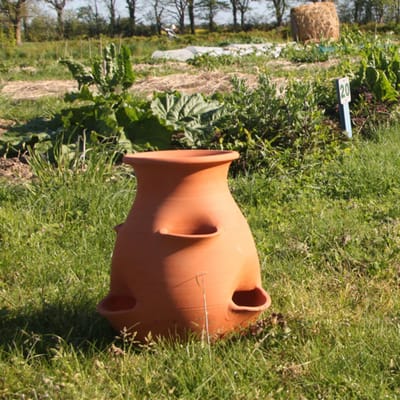 Franse handgemaakte Terra cotta aardbeien kweekpot 38 x 38 x 43 cm
