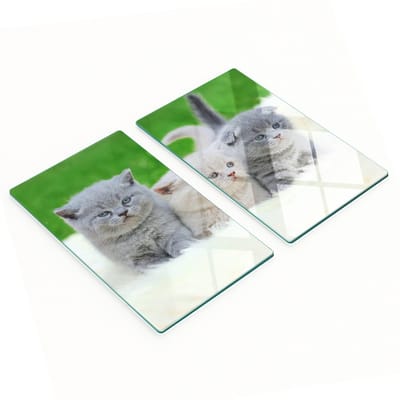 Glazen serveerplanken voor in de keuken met een afbeelding van drie katten (dekentje) 2x30x52 cm