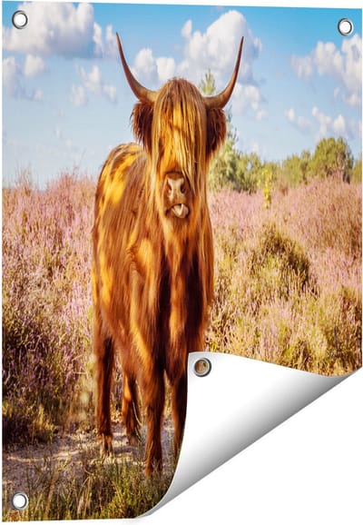 Gards Tuinposter Schotse Hooglander Koe in de Wei - 40x50 cm - Tuindoek - Tuindecoratie - Wanddecoratie buiten - Tuinschilderij