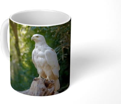 Mok - Koffiemok - Arend - Hout - Wit - Planten - Mokken - 350 ML - Beker - Koffiemokken - Theemok