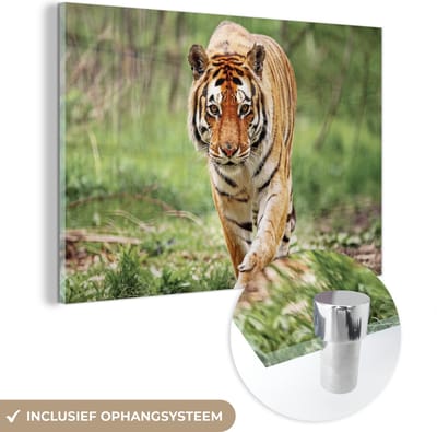 MuchoWow® Glasschilderij 60x40 cm - Schilderij acrylglas - Tijger - Bos - Lopen - Foto op glas - Schilderijen