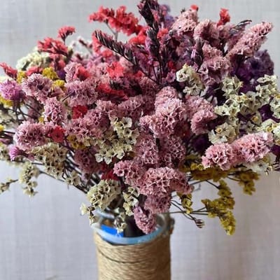 Gedroogd Kristalgras - Mini Boeket - Decoratie Kamer - Natuurlijk Gedroogd - 10-25 cm - Natuurlijk