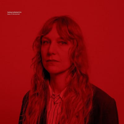 Hedvig Mollestad - Bees In The Bonnet (LP)