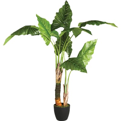 Eazy Living Kunstplant Bananenplant H124 cm