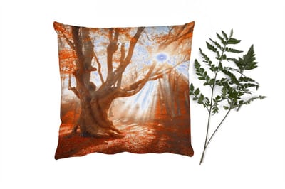 Sierkussens - Kussentjes Woonkamer - 40x40 cm - Boom - Natuur - Herfst