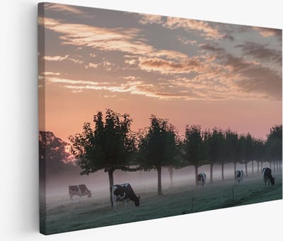 Saammp Muurcirkel Hout - Blauwe Roos Met Waterdruppels - Natuur - Abstract - Ø 90 - Wandcirkel - Wanddecoratie Cirkel - Muurdecoratie Woonkamer - Kantoor Decoratie