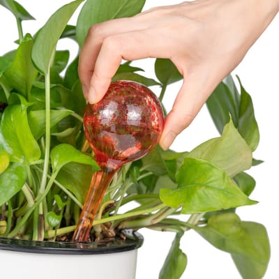 4 Stuks - Waterdruppelaar voor Planten - Watergever - Glas - Waterbollen - Watergeefsysteem - Plantenbollen - Rood