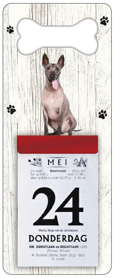 Scheurkalender 2027 Hond: Mexicaanse Naakthond