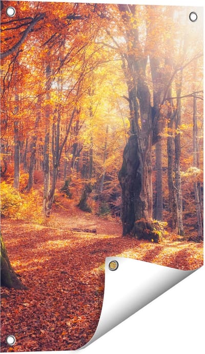 Gards Tuinposter Oranje Herfstbos met Zonneschijn - 40x60 cm - Tuindoek - Tuindecoratie - Wanddecoratie buiten - Tuinschilderij