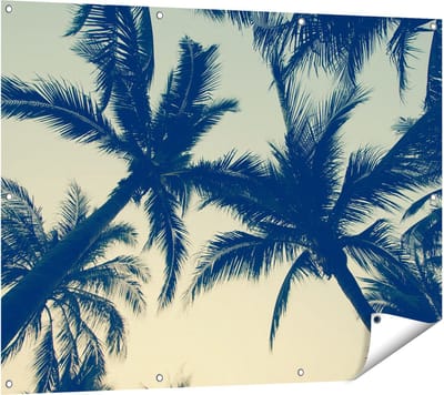 Gards Tuinposter Palmbomen Bladeren - 120x90 cm - Tuindoek - Tuindecoratie - Wanddecoratie buiten - Tuinschilderij