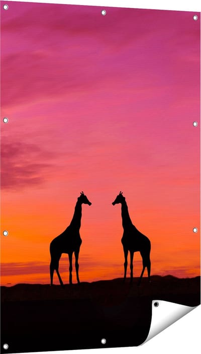 Gards Tuinposter Twee Giraffe Silhouetten bij Zonsondergang - 80x120 cm - Tuindoek - Tuindecoratie - Wanddecoratie buiten - Tuinschilderij