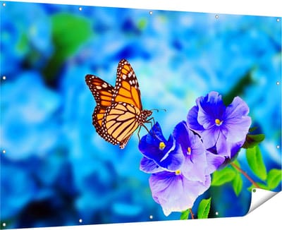 Gards Tuinposter Oranje Vlinder bij Paarse Bloemen - 180x120 cm - Tuindoek - Tuindecoratie - Wanddecoratie buiten - Tuinschilderij