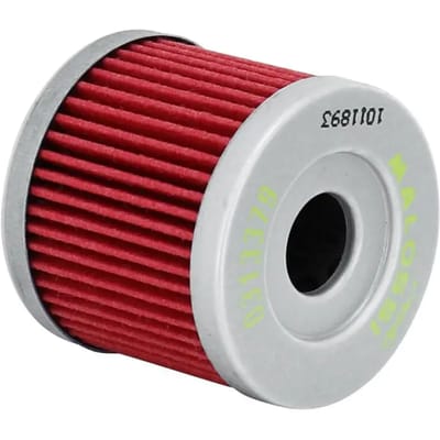 Motorfiets oliefilter Malossi Red chili Suzuki 125 Burgman 2002+ 400 Burgman 2007+
