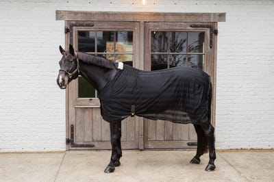 Kentucky Horsewear - Lichte Mesh Vliegendeken zwart 145-6'6