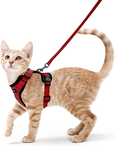 Kattenharnas met linnen, zacht harnas voor katten, borsttuigje, onbreekbaar, verstelbaar kattenvest, kleuren: roze/groen/zwart/rood, maat S/XS, XS, rood