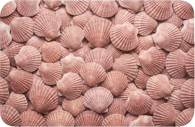 Badmat 60x40 cm - Antislip - Schelpen - Patroon - Roze - Badmatten voor badkamer - Badkamermat - Douchemat - Badkamer mat