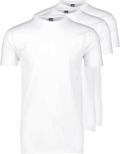 Alan Red 3-pack heren t-shirts Virginia wit