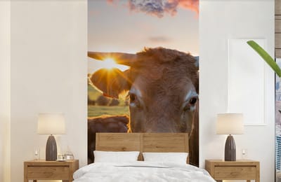 Behang - Fotobehang Koeien - Zon - Weiland - Platteland - Breedte 120 cm x hoogte 240 cm