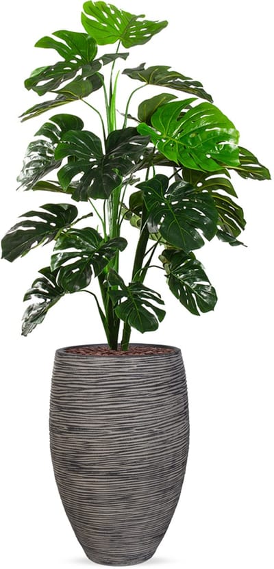 Kunstplant Monstera in Vaas elegant Deluxe rib antraciet H160 cm