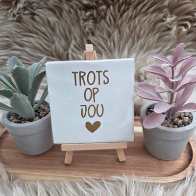 Robuust Wenstegeltje “Trots op Jou” – 10x10cm – Lief Cadeautegeltje met Hartje – Trendy nu – Geslaagd – vriend(in), familie, gezin, zomaar – Decoratief Tegeltje met Standaard – Cadeau Idee