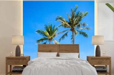 Behang - Fotobehang Palm - Zomer - Tropisch - Breedte 300 cm x hoogte 300 cm
